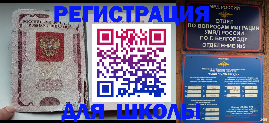 прописка гарантия в Шали